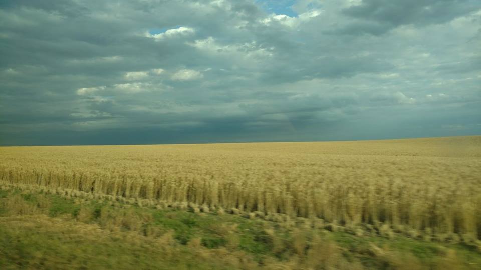 19554420_1759936490687934_7965154539688390526_n[1]