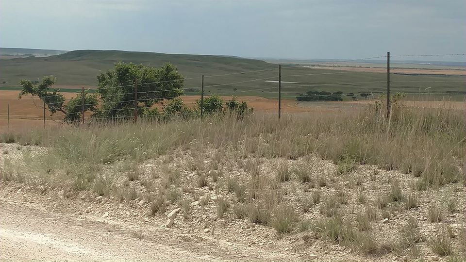 19554969_1759974800684103_2034417659756046617_n[1]