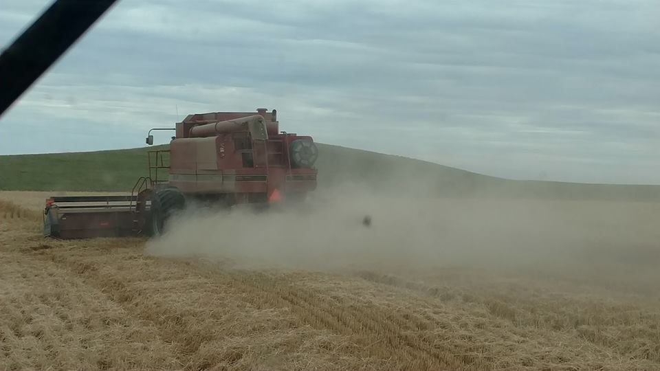 19598656_1759936714021245_435964469278323879_n[1]