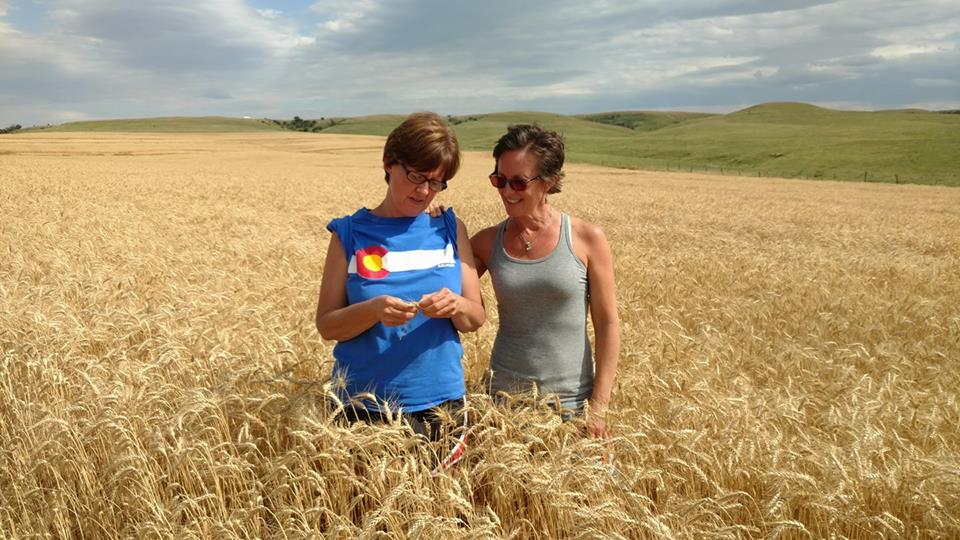 19601131_1759937717354478_7449085866234980079_n[1]