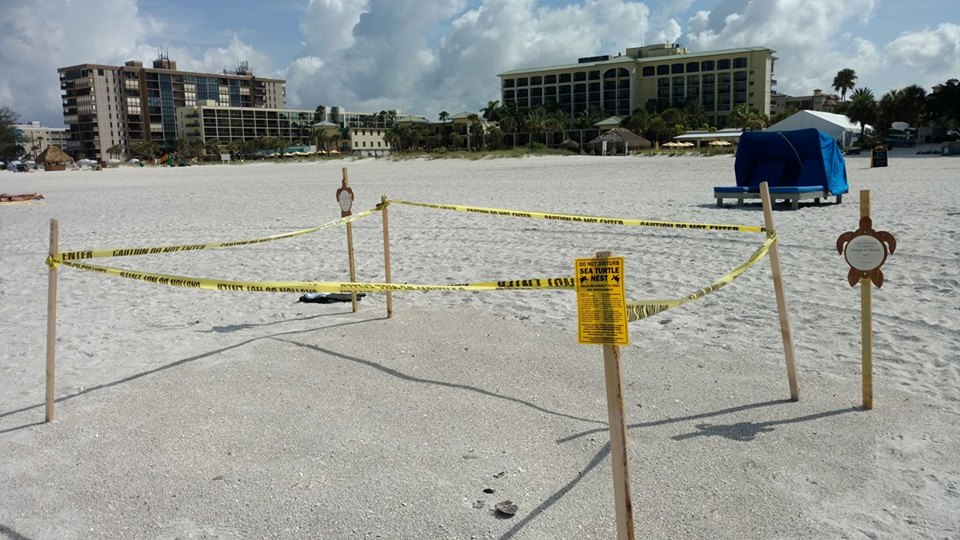 20525946_1792108124137437_2120122690685367122_n[2]