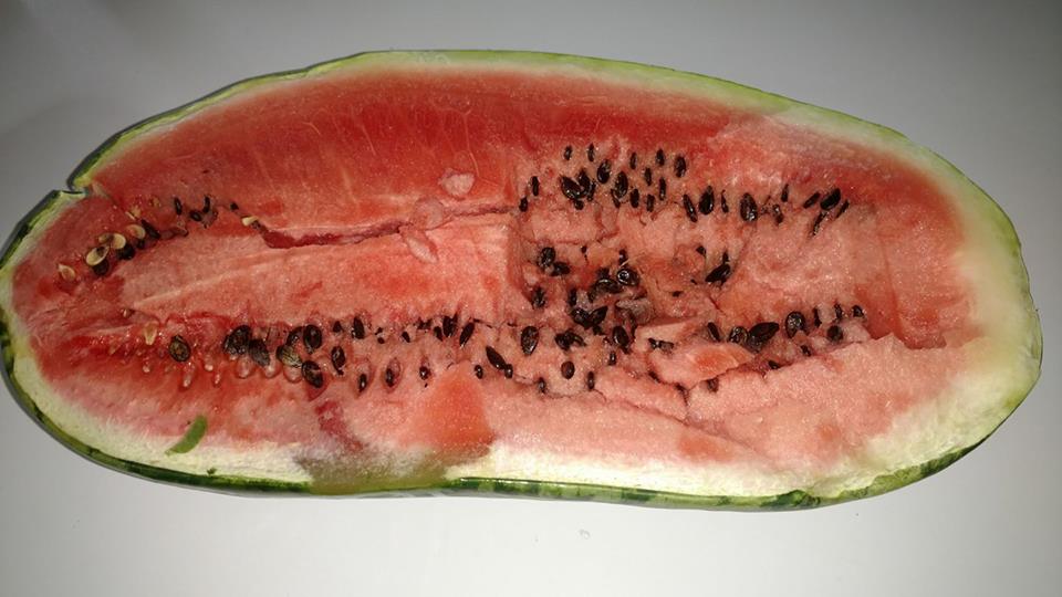 21751356_1844348585580057_3167499668611380374_n[1]