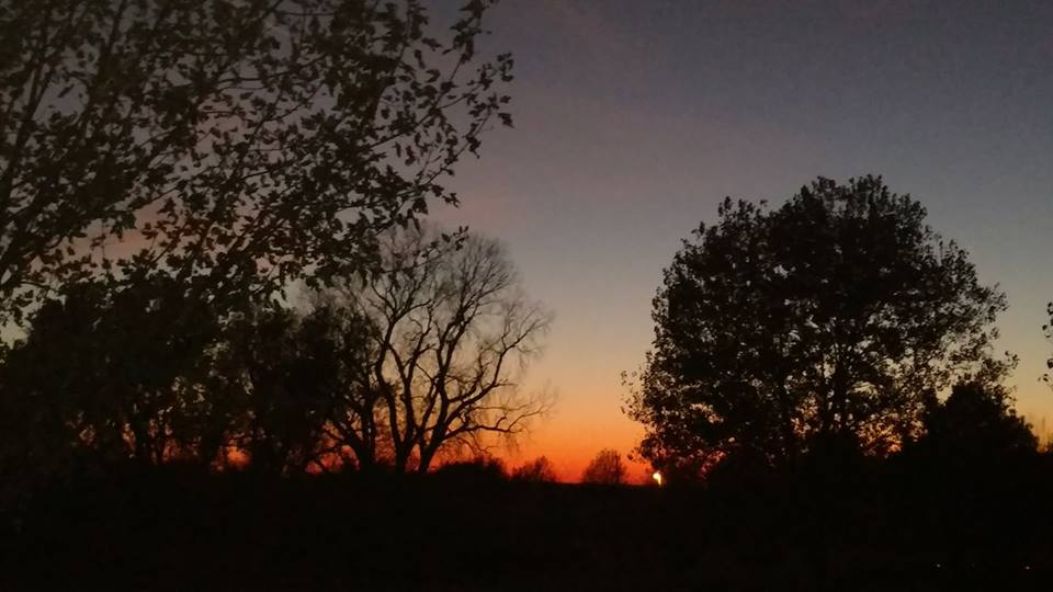 23031291_1897539040261011_2701275557718199098_n[1]