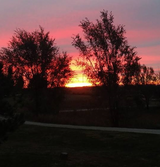 23167556_1900497969965118_7239660896293704064_n[1]