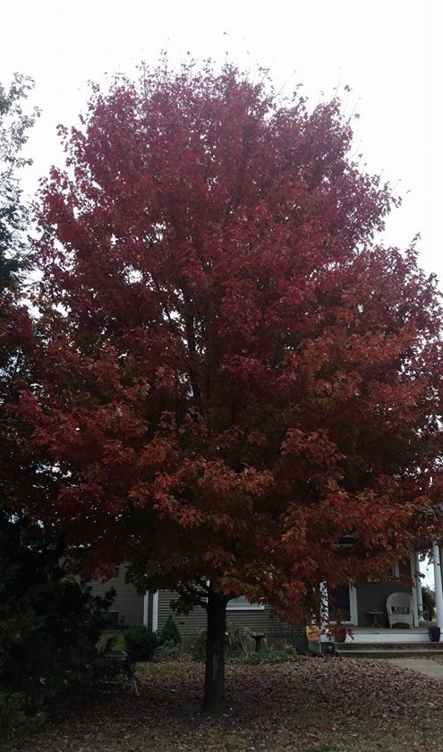 23244491_1900730743275174_1964729566897270534_n[1]