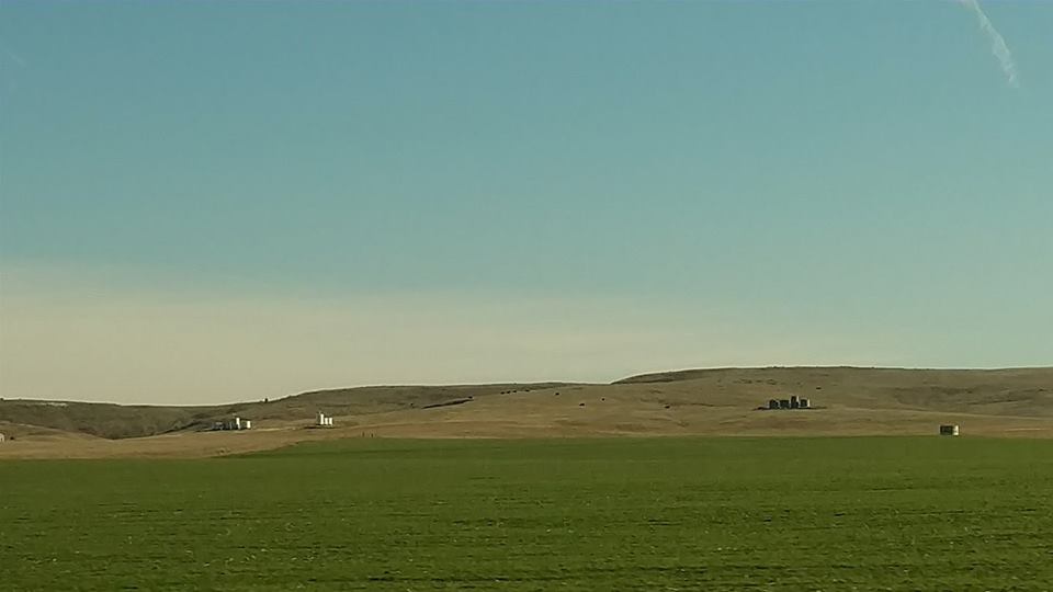 23561538_1916446861703562_1103632209898758194_n[1]