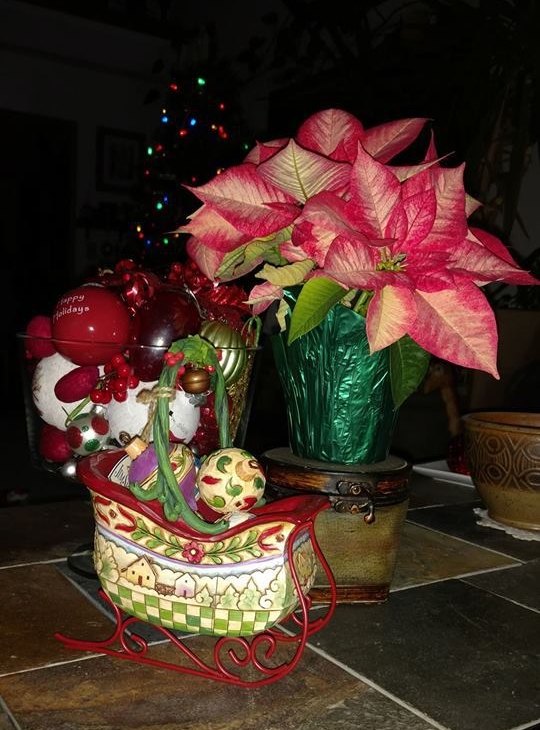 25396116_1950656021615979_420695045484152694_n[1]