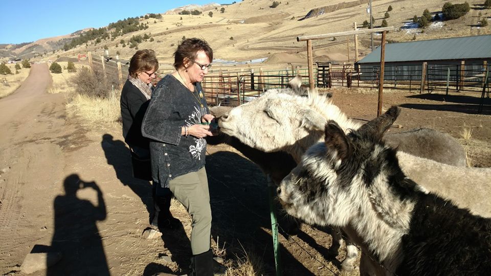 29101724_2048542808493966_1501193487742140416_n[1]