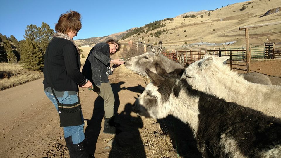 29102028_2048542641827316_3749715803293876224_n[1]