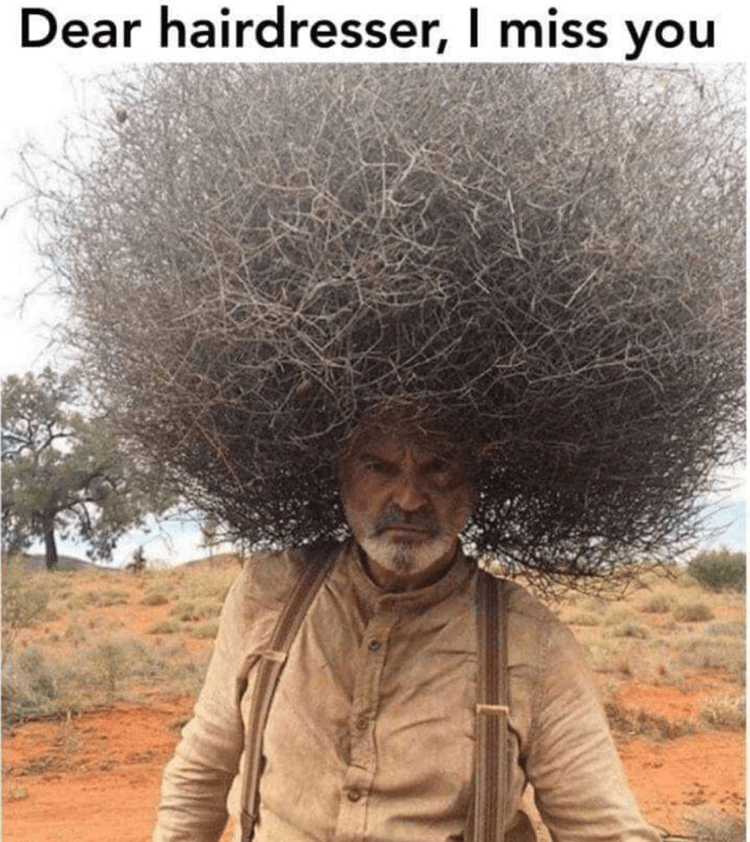 wp-1589747839228.png